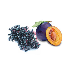 HARVIA bastudoftkoncentrat, fläder och plommon 100 ml 