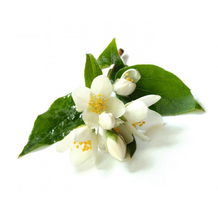 Sentiotec Sauna aromkoncentrat, jasminblom