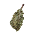 Björk - Eukalyptus bastuvisp - 0