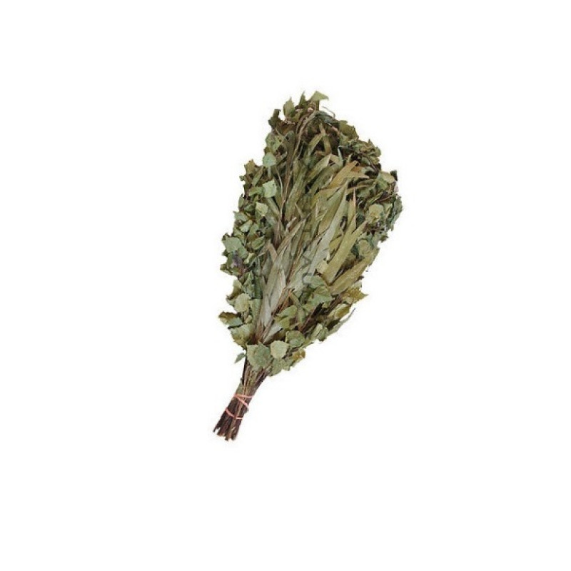 Björk - Eukalyptus bastuvisp