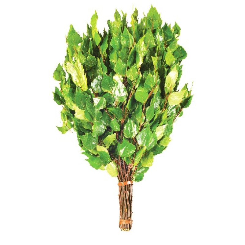 Björkvisp med örter