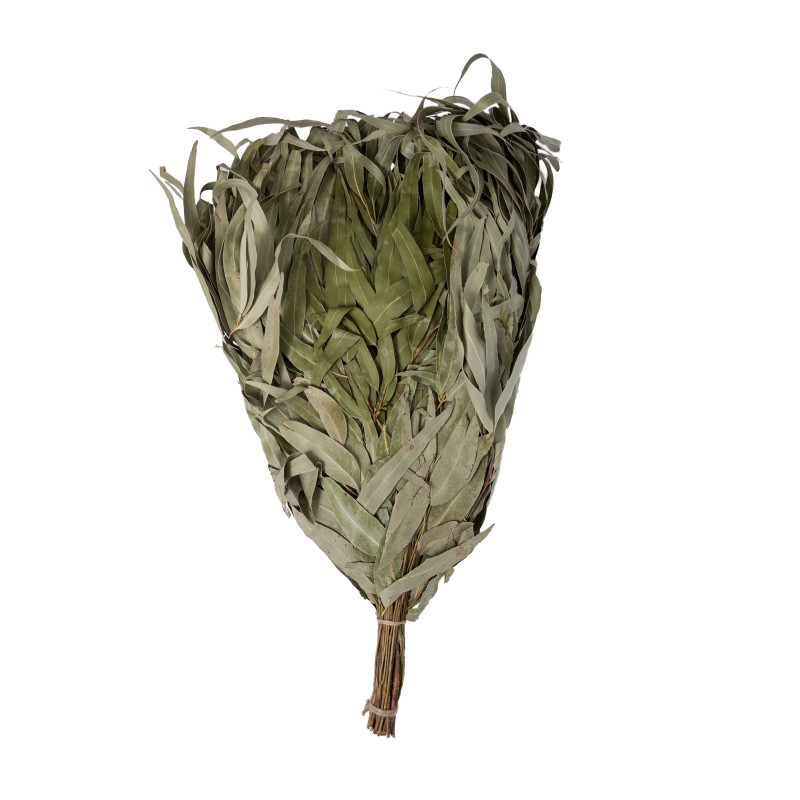 Bastuvisp av eukalyptus