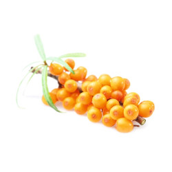 HARVIA bastudoftkoncentrat, havtorn 1 l 