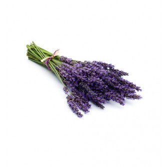 HARVIA bastudoftkoncentrat, lavendel 1 l