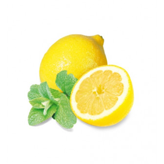 HARVIA bastudoftkoncentrat, mynta och citron 1 l