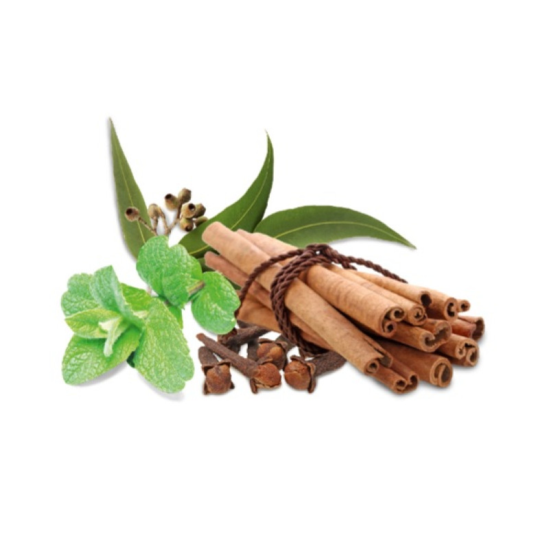 HARVIA bastudoftkoncentrat, krydda och mynta 1 l