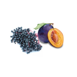 HARVIA bastudoftkoncentrat, fläder och plommon 1 l 