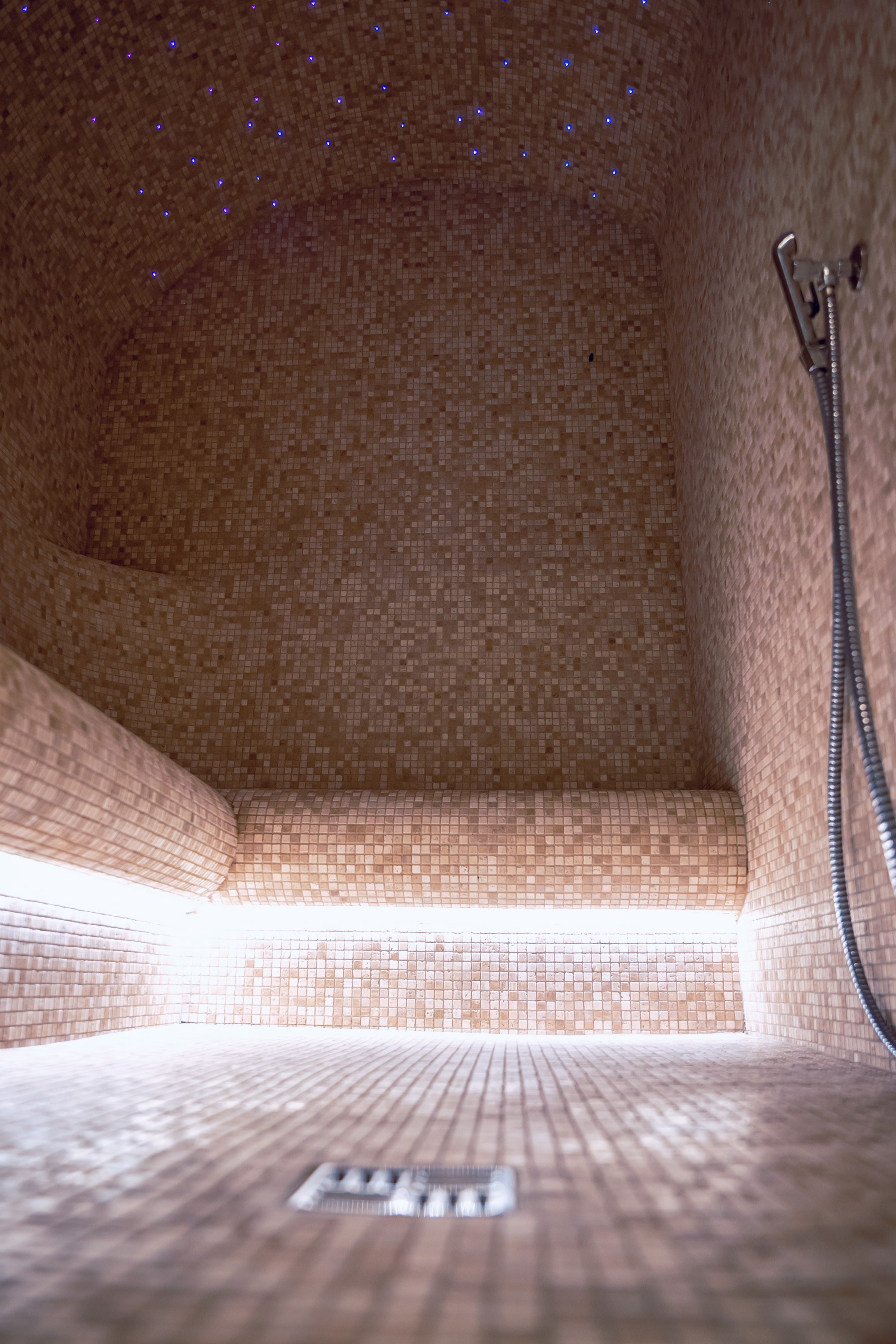 SPA-center på PALANGOS VĘETRA hotell